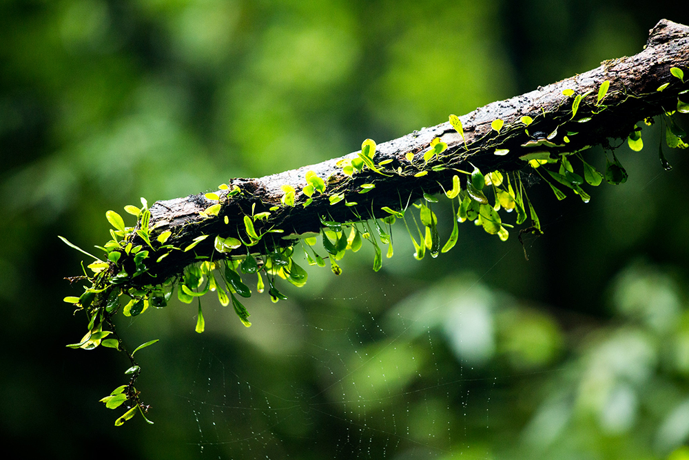 43971368785 5016127212 k