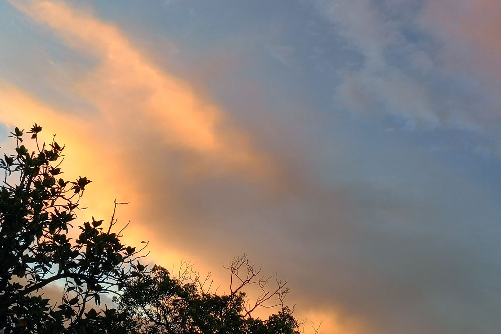IMG 20190929 174607 1