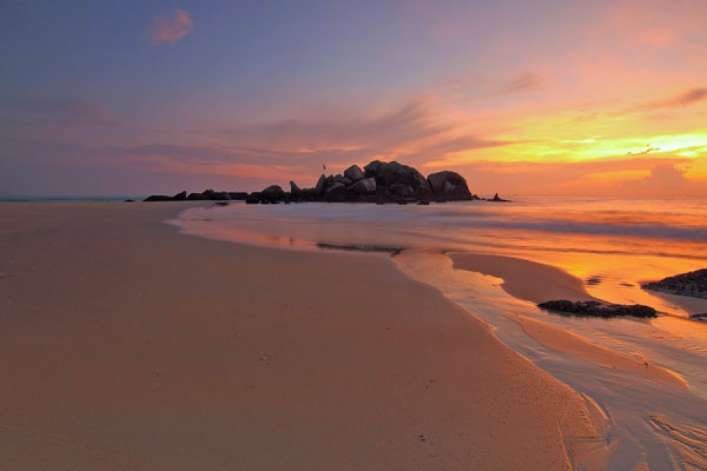 pexels photo 600x400