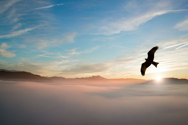 Remain at Peace by Being Unaffected by External Conditions