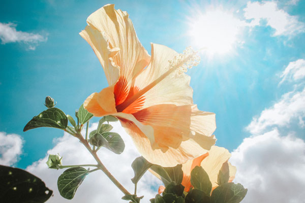 How Do We “Beautify” Ourselves?