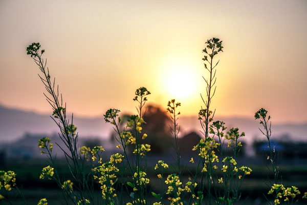 Lead a Happy Life Free from Suffering