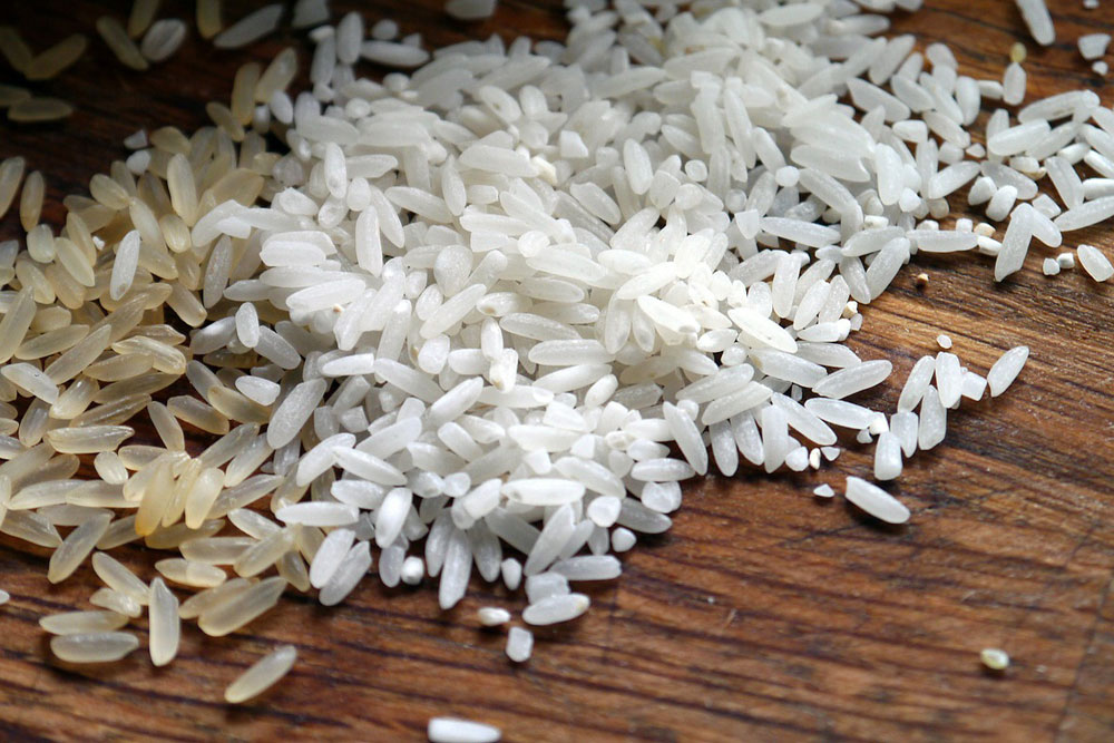 rice 498688 1000x667