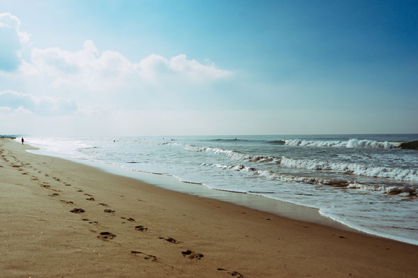What constitutes the happiest life?