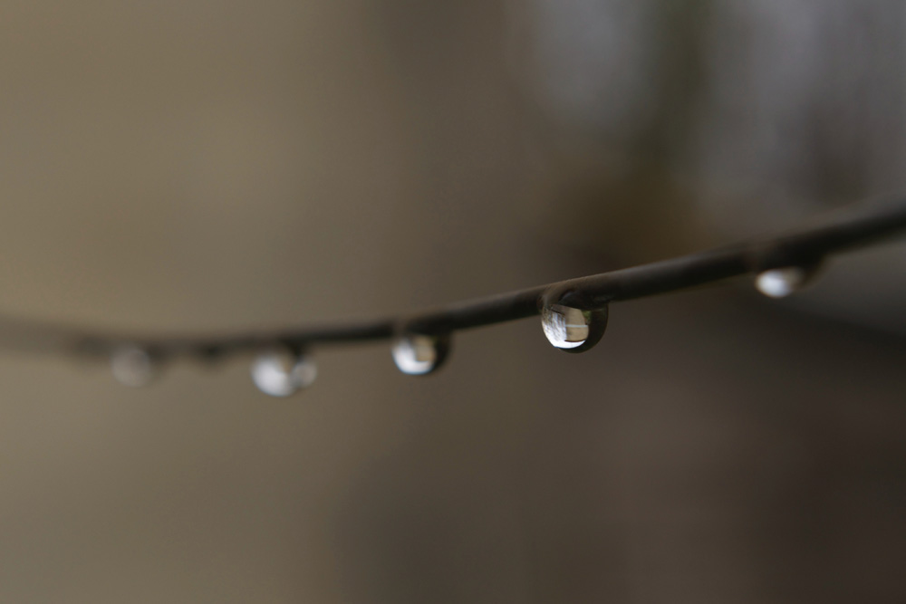 carmine de fazio 934 unsplash 1000x667