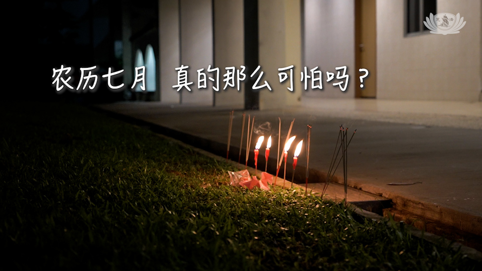 七月吉祥月 正念护生聚善念